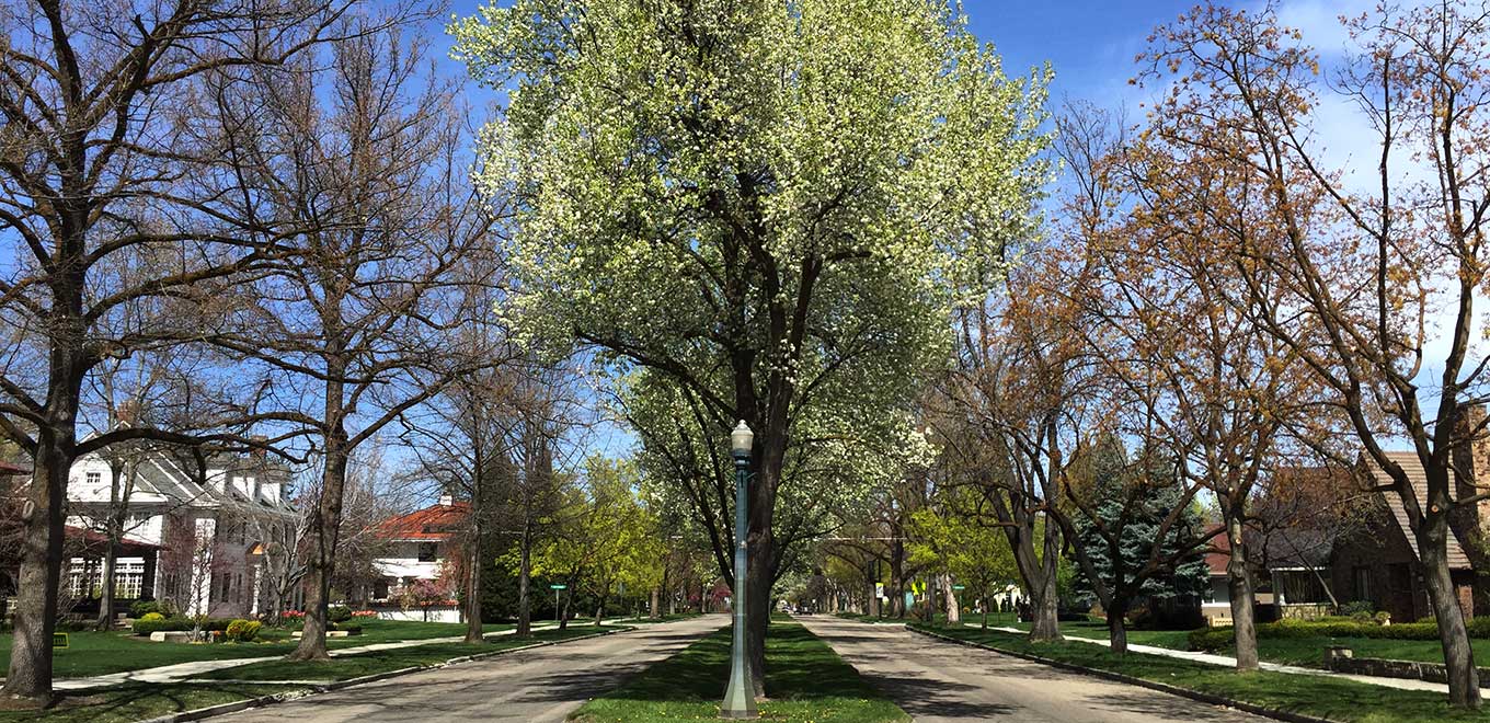 Boise Website Design