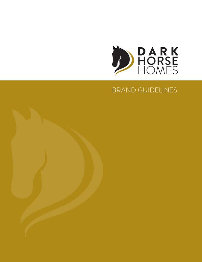 boise branding guidelines design